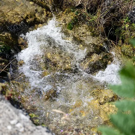 Gasthuis Gaestehaus Alte Bergmuehle Fischbachau