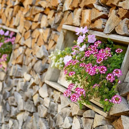 Gaestehaus Alte Bergmuehle Gasthuis