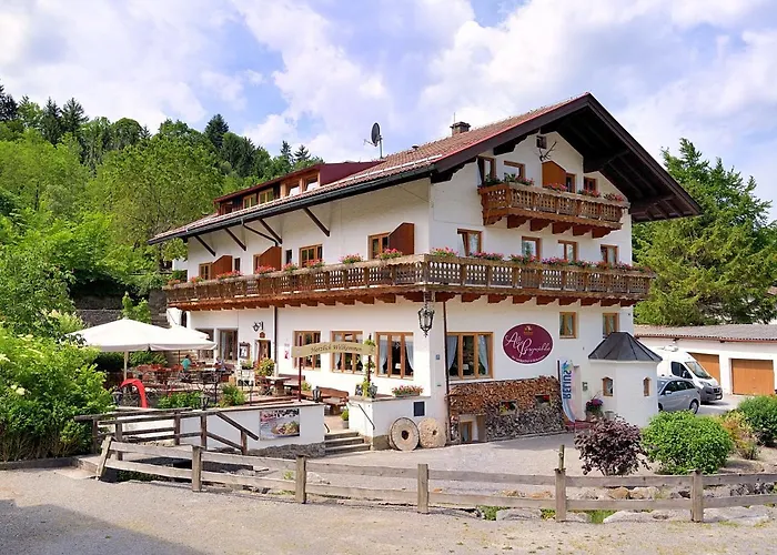 Alte Bergmühle Gasthof 3*